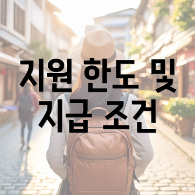 지원 한도 및 지급 조건