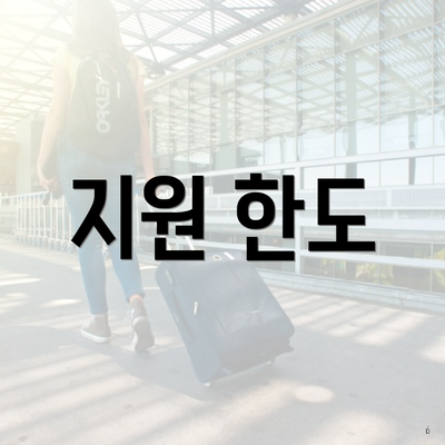 지원 한도