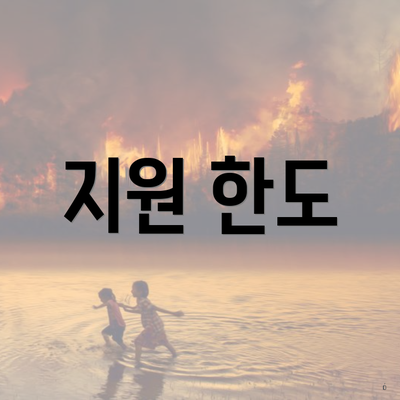지원 한도