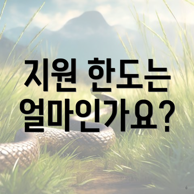 지원 한도는 얼마인가요?