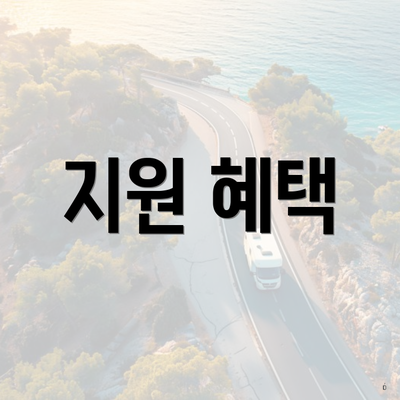 지원 혜택
