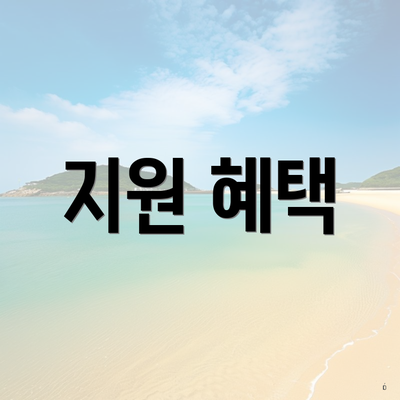 지원 혜택