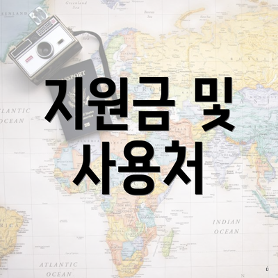 지원금 및 사용처