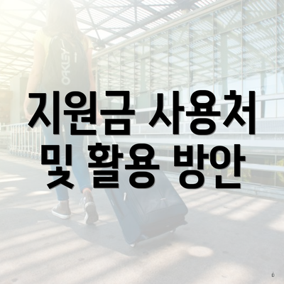 지원금 사용처 및 활용 방안