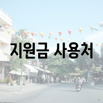 지원금 사용처