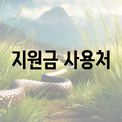 지원금 사용처