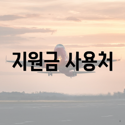지원금 사용처