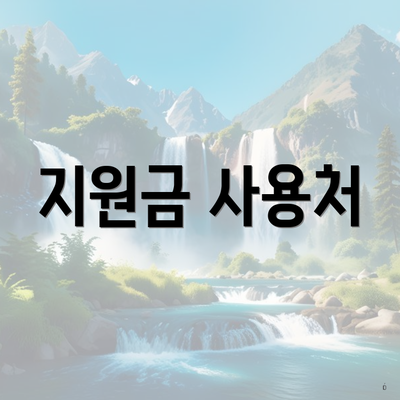 지원금 사용처