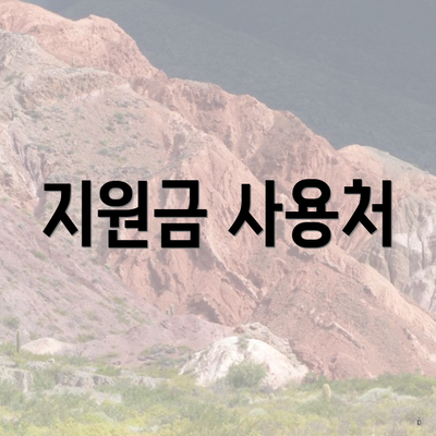 지원금 사용처
