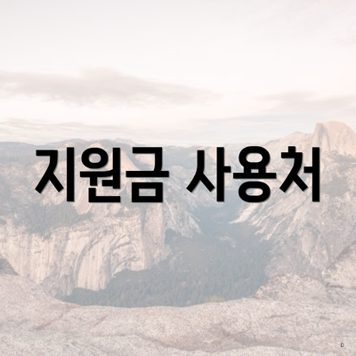 지원금 사용처