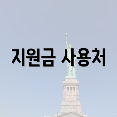 지원금 사용처