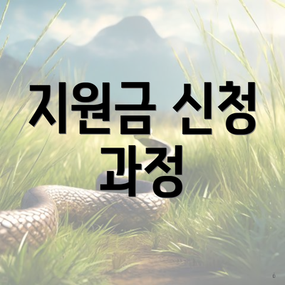 지원금 신청 과정