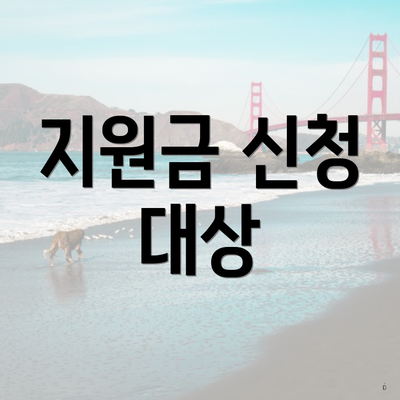 지원금 신청 대상