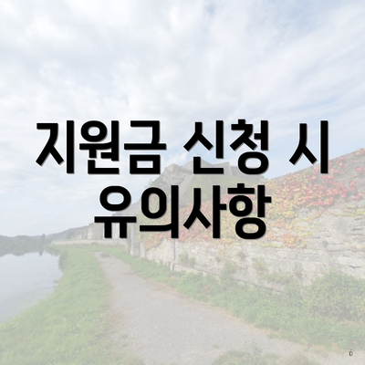 지원금 신청 시 유의사항