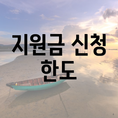 지원금 신청 한도