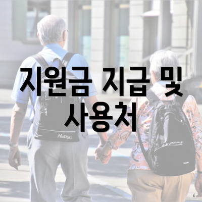지원금 지급 및 사용처