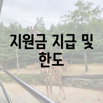 지원금 지급 및 한도