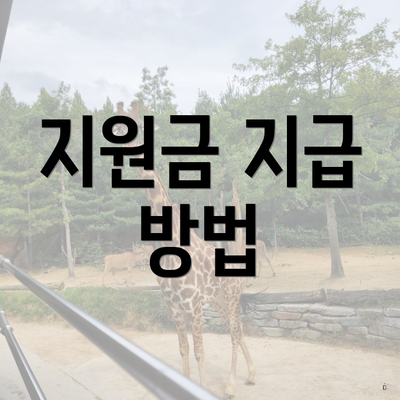 지원금 지급 방법