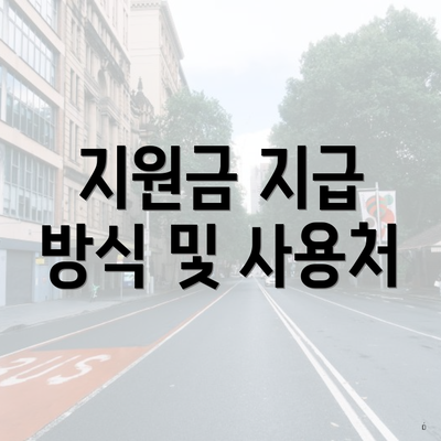 지원금 지급 방식 및 사용처