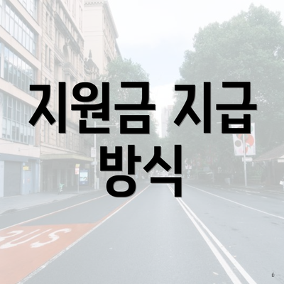 지원금 지급 방식
