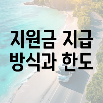 지원금 지급 방식과 한도