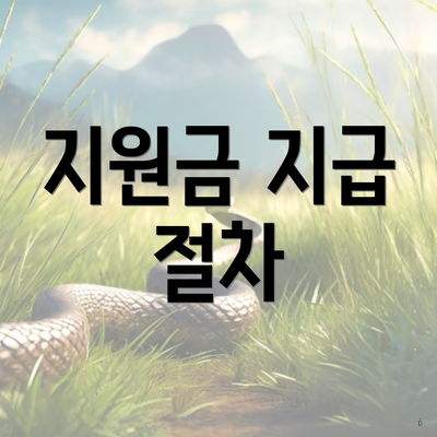 지원금 지급 절차