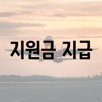 지원금 지급