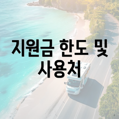 지원금 한도 및 사용처