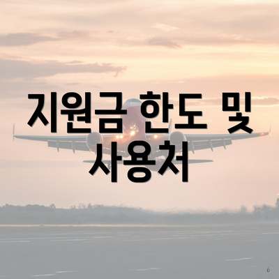 지원금 한도 및 사용처