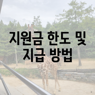 지원금 한도 및 지급 방법