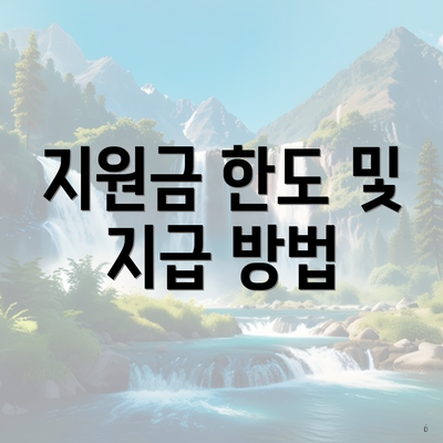지원금 한도 및 지급 방법