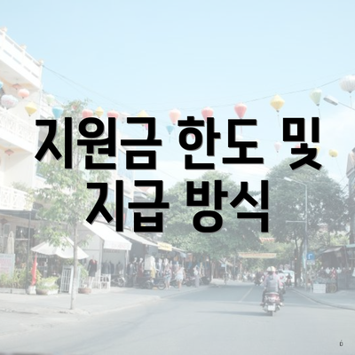 지원금 한도 및 지급 방식