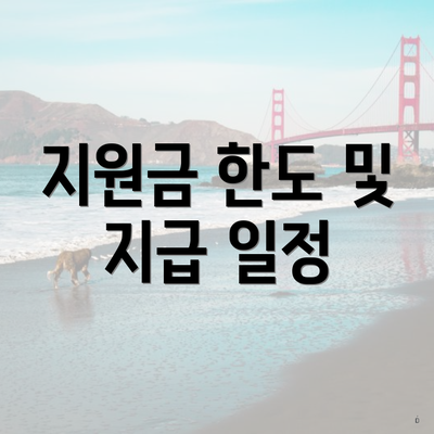 지원금 한도 및 지급 일정