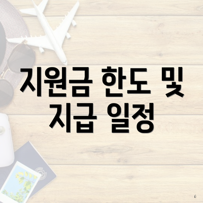 지원금 한도 및 지급 일정