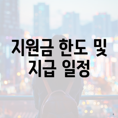 지원금 한도 및 지급 일정