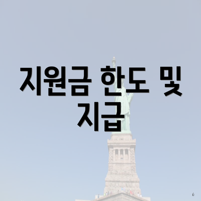 지원금 한도 및 지급