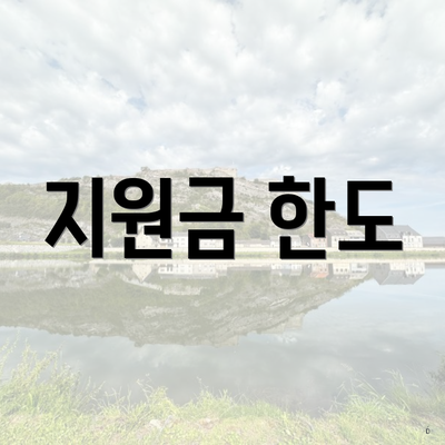 지원금 한도