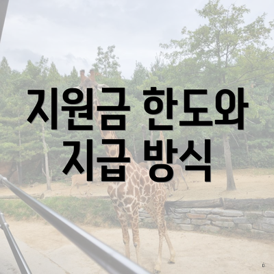 지원금 한도와 지급 방식