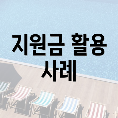 지원금 활용 사례