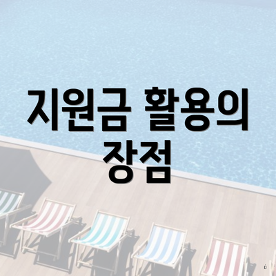 지원금 활용의 장점