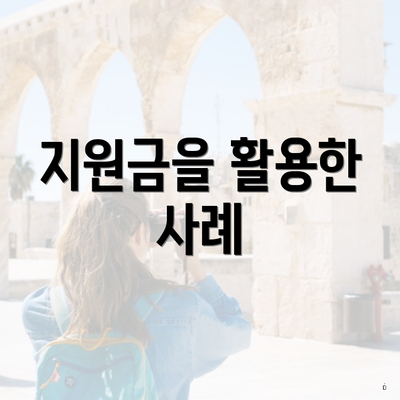 지원금을 활용한 사례