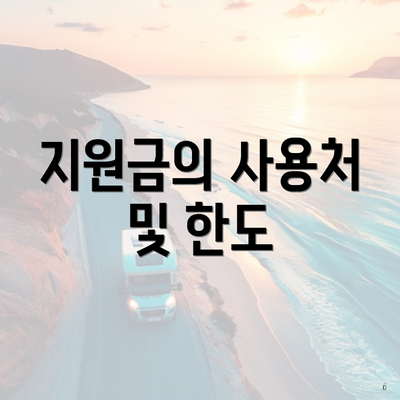 지원금의 사용처 및 한도
