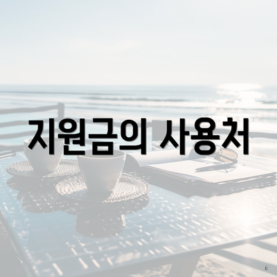 지원금의 사용처