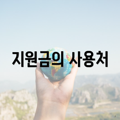 지원금의 사용처