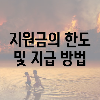 지원금의 한도 및 지급 방법
