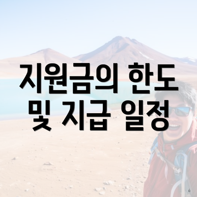 지원금의 한도 및 지급 일정