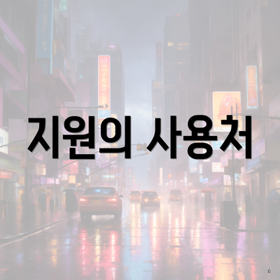 지원의 사용처