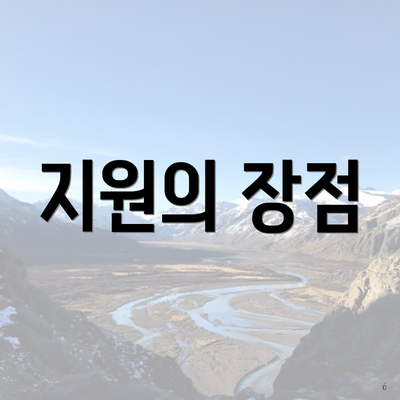 지원의 장점