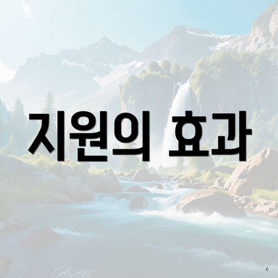 지원의 효과