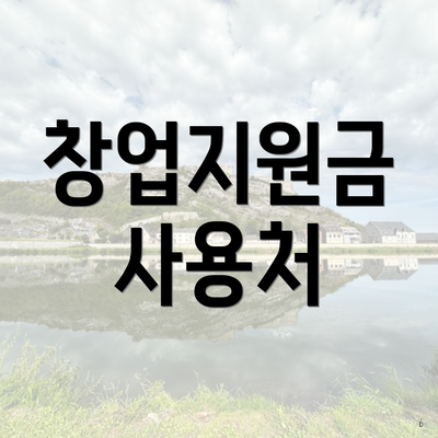 창업지원금 사용처